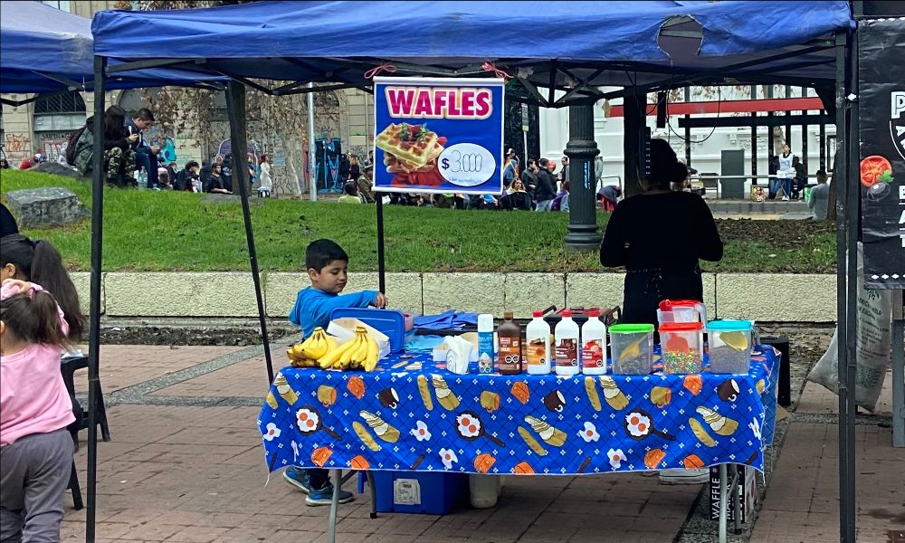 The Waffle Side Hustle